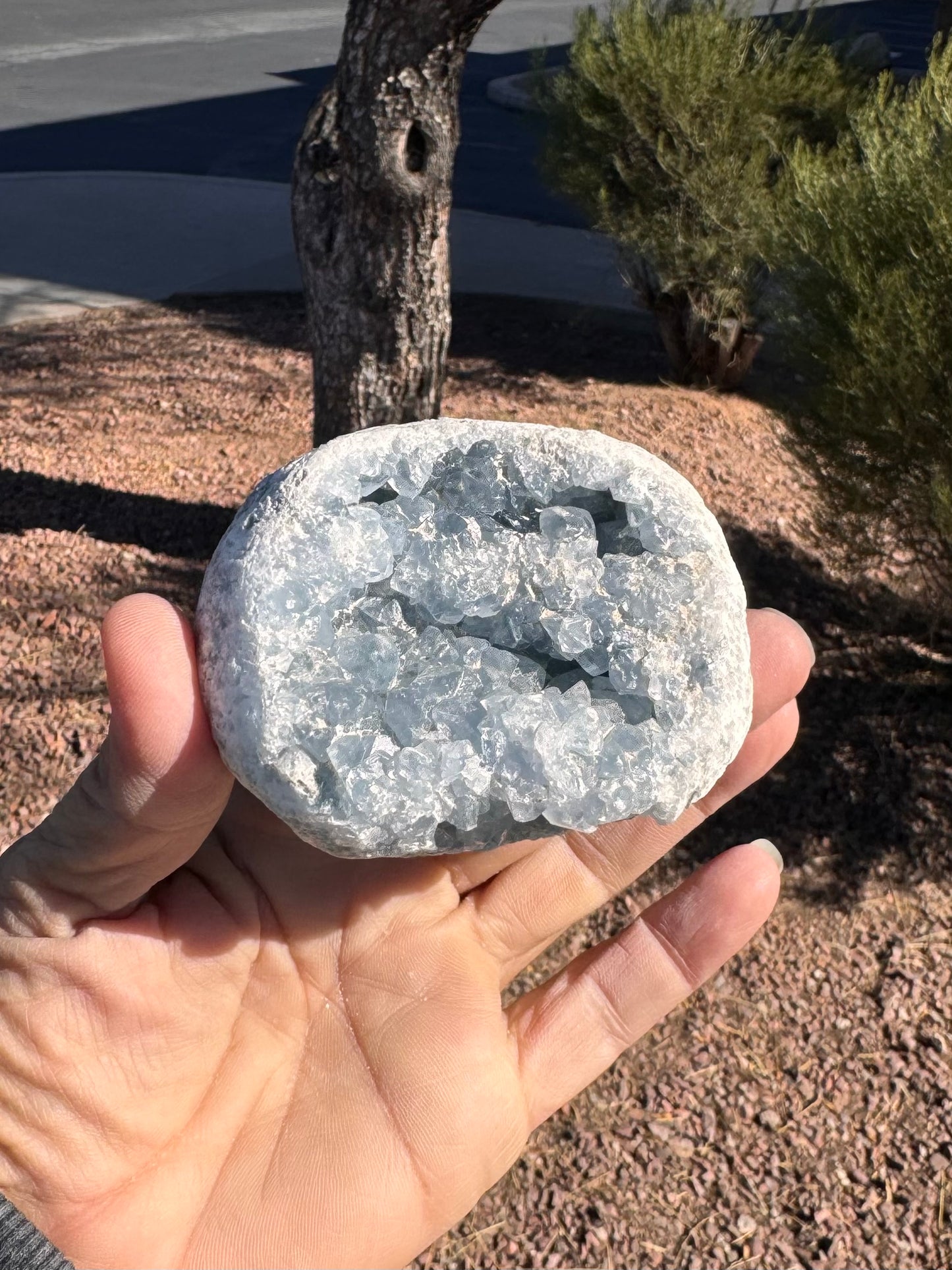 Celestite