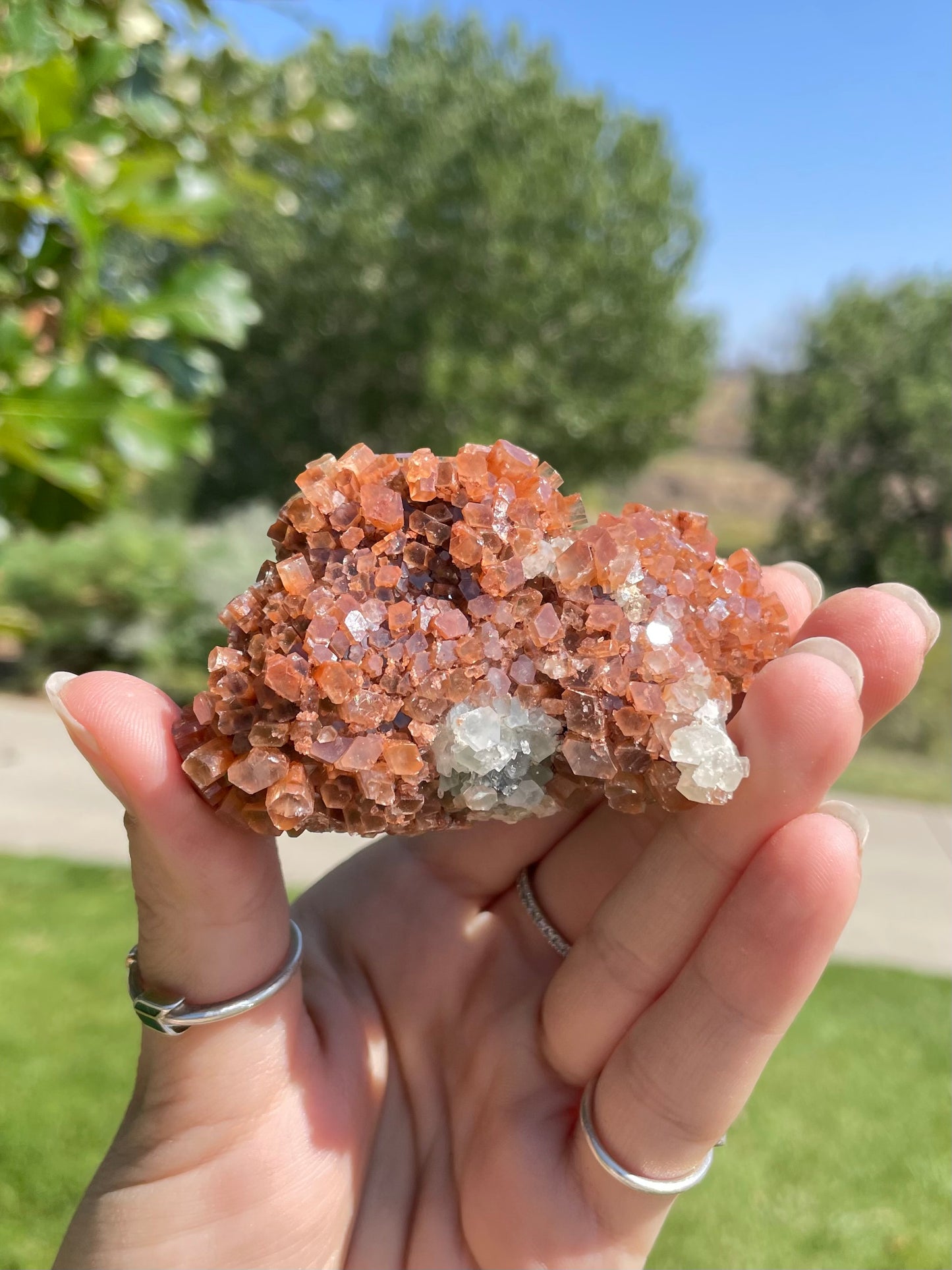 Green & Orange Aragonite ( L )