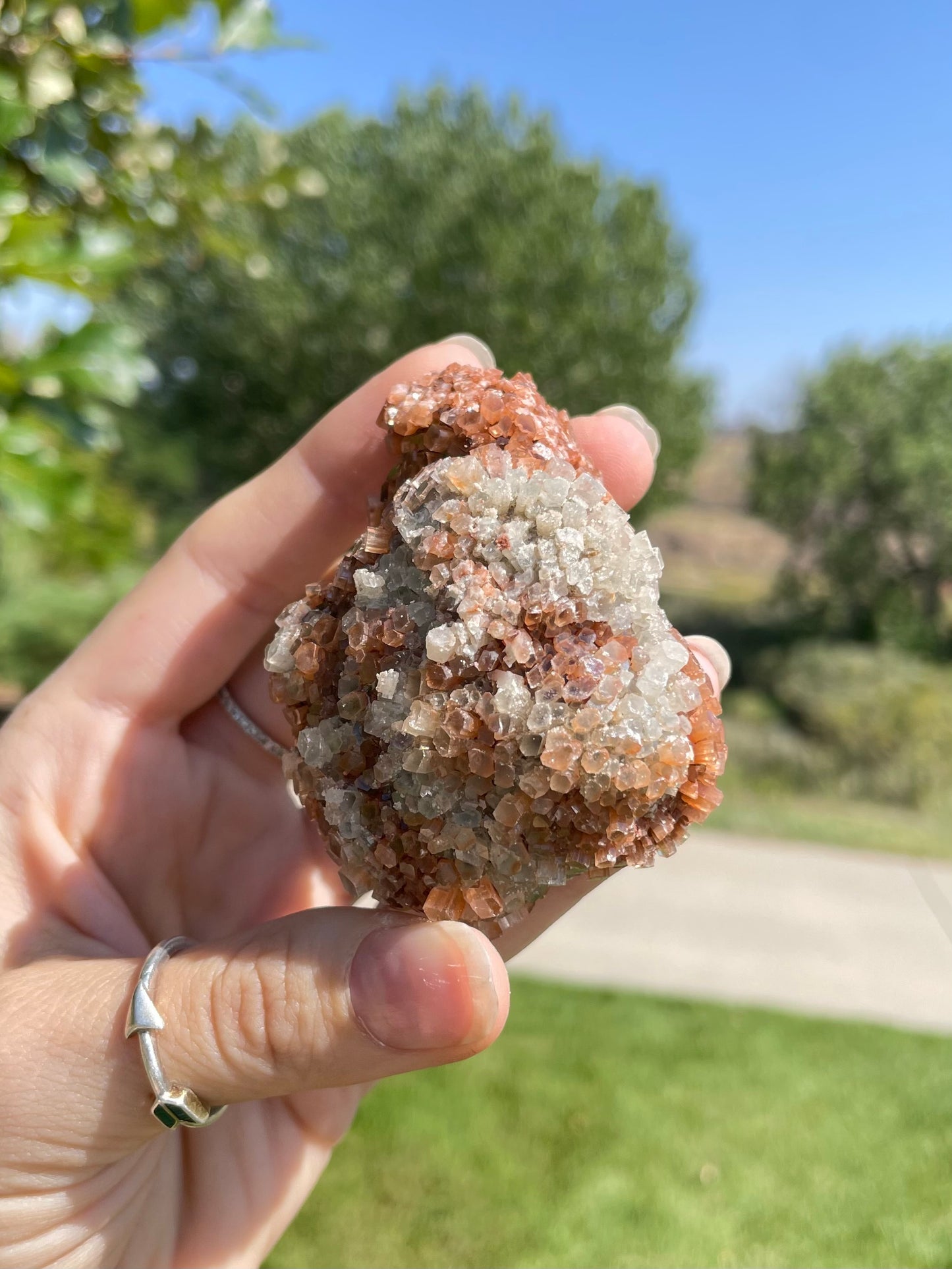 Green & Orange Aragonite ( N )