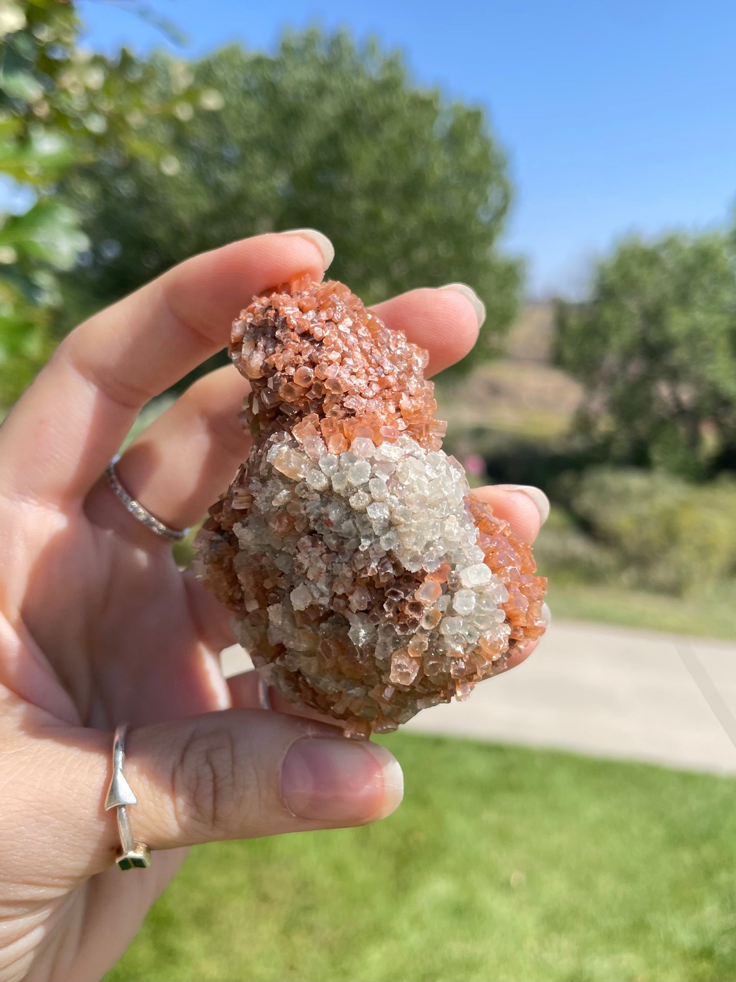 Green & Orange Aragonite ( N )