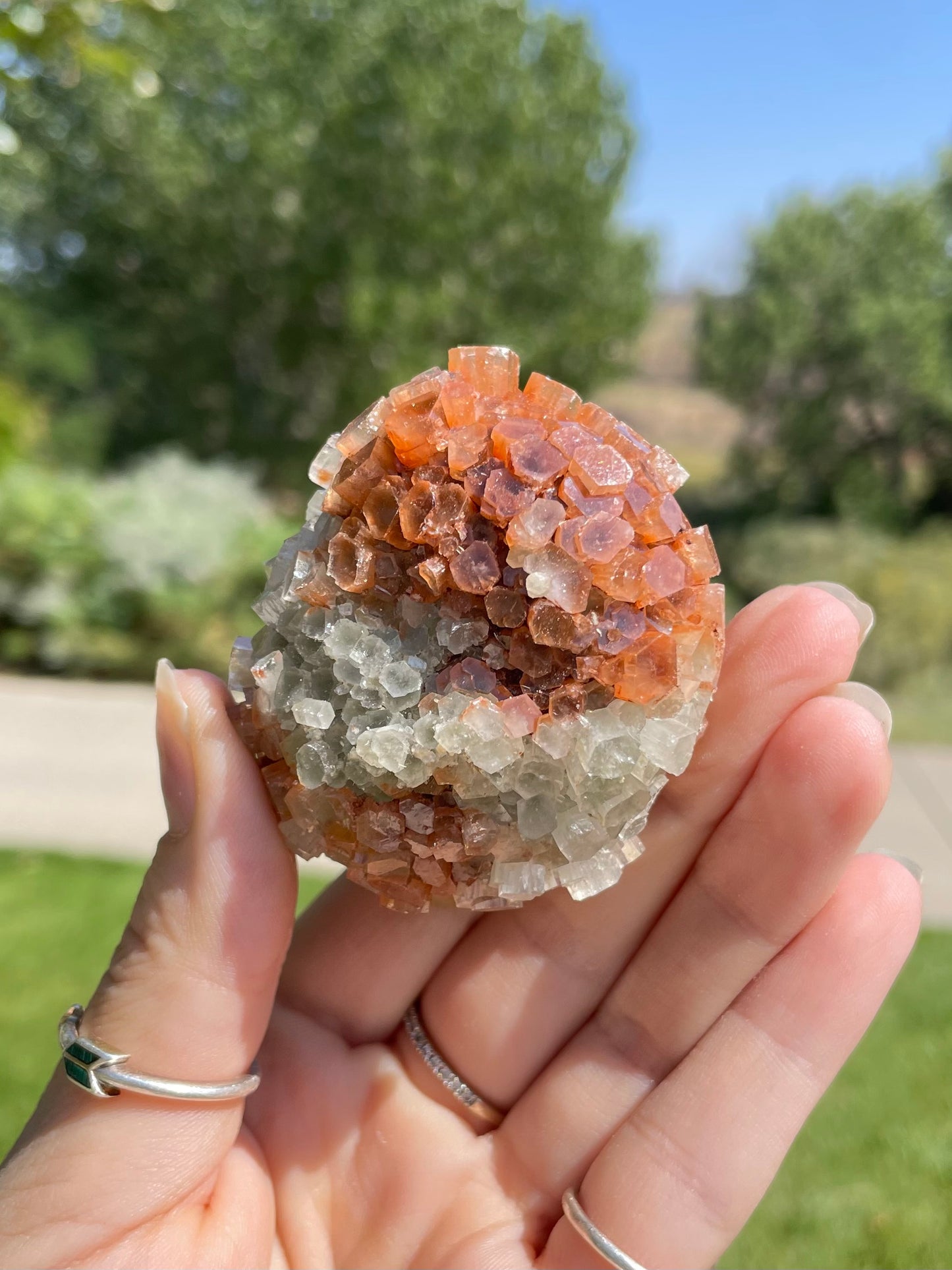 Green & Orange Aragonite ( f )