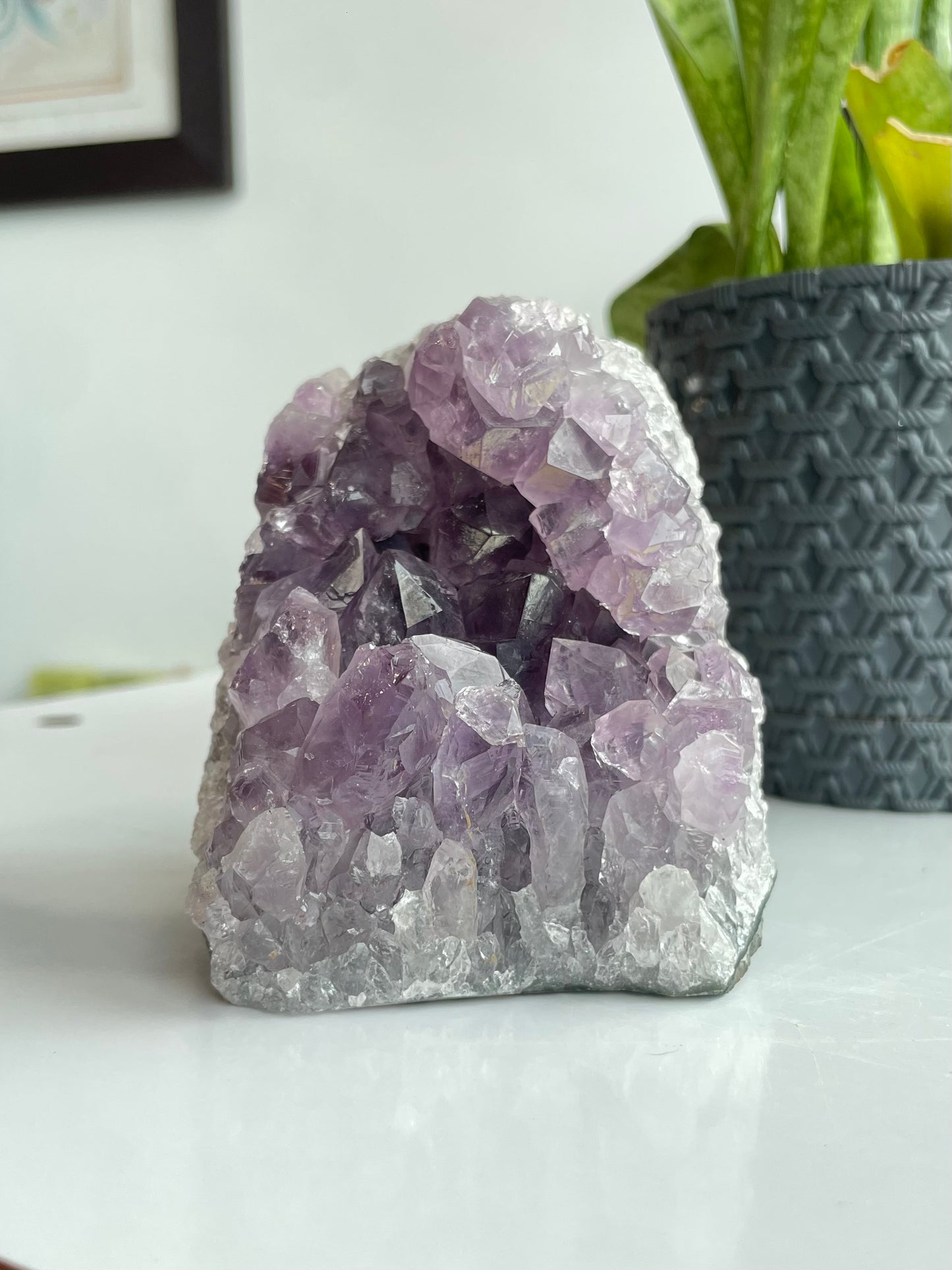 Amethyst Cluster ( A )