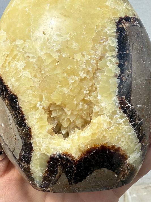 Septarian