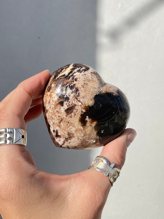 Petrified Wood Heart