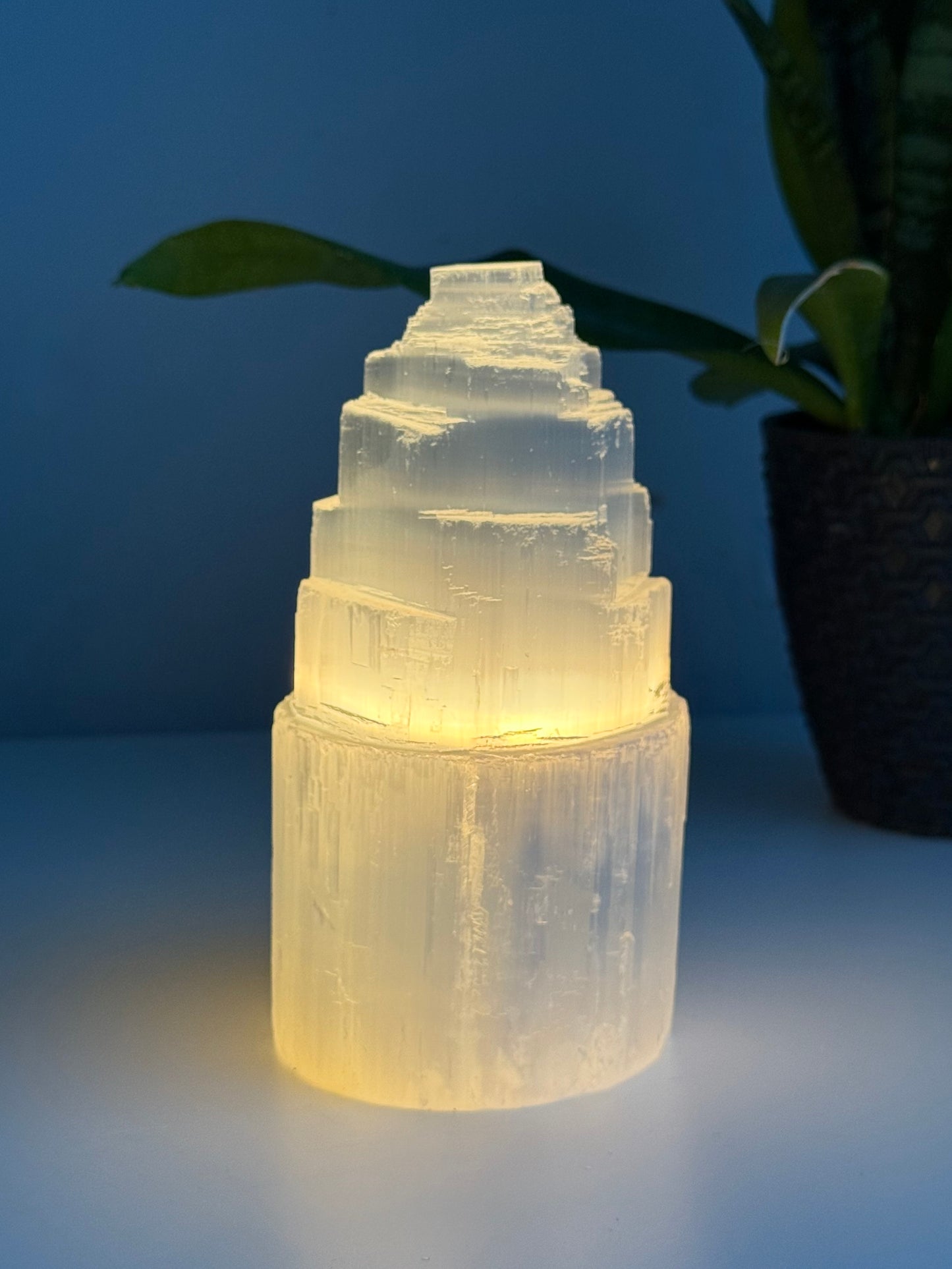 Selenite Lamp ( 6” Tall )