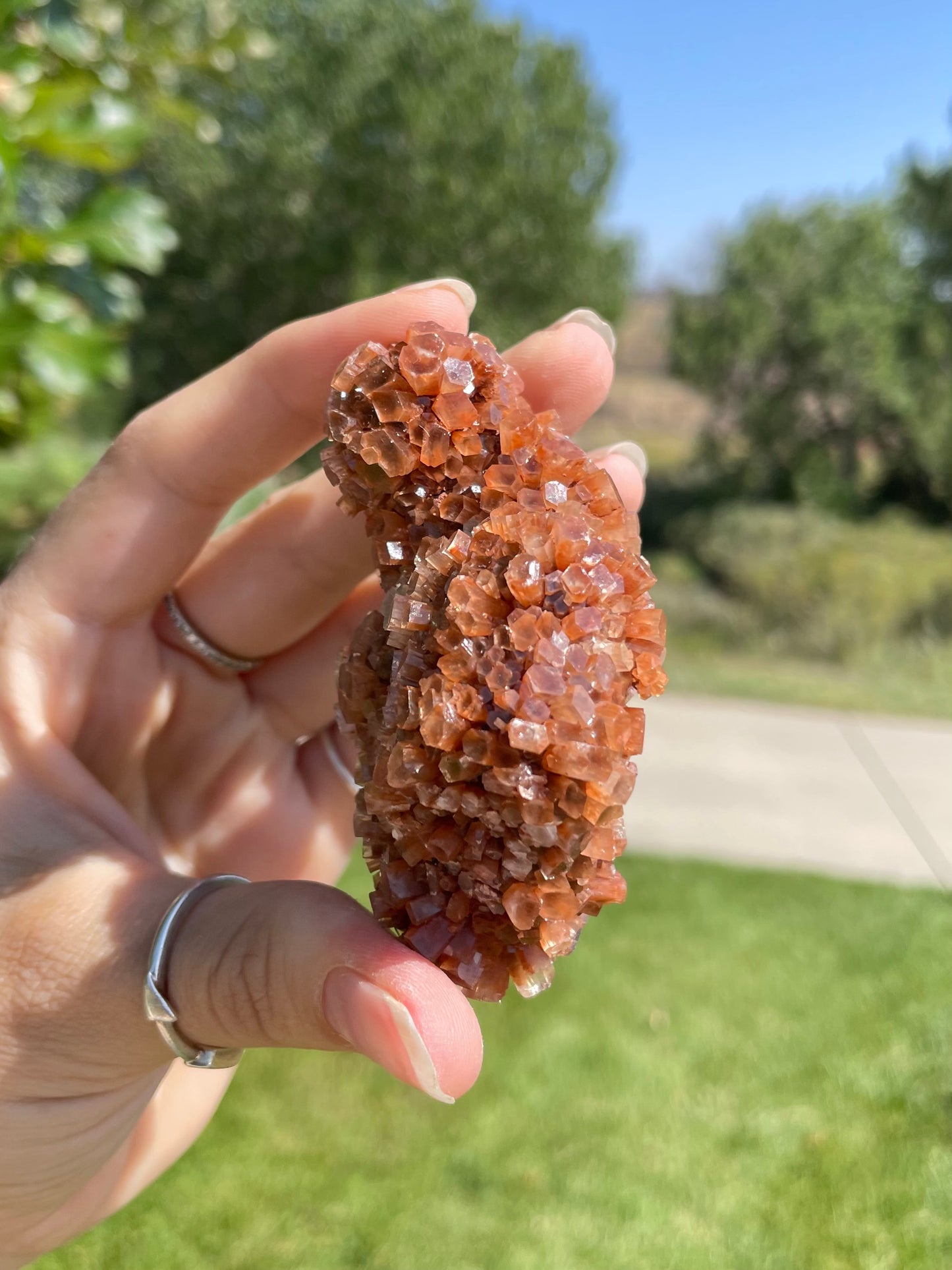 Green & Orange Aragonite ( L )