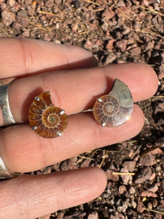 Ammonite Earrings