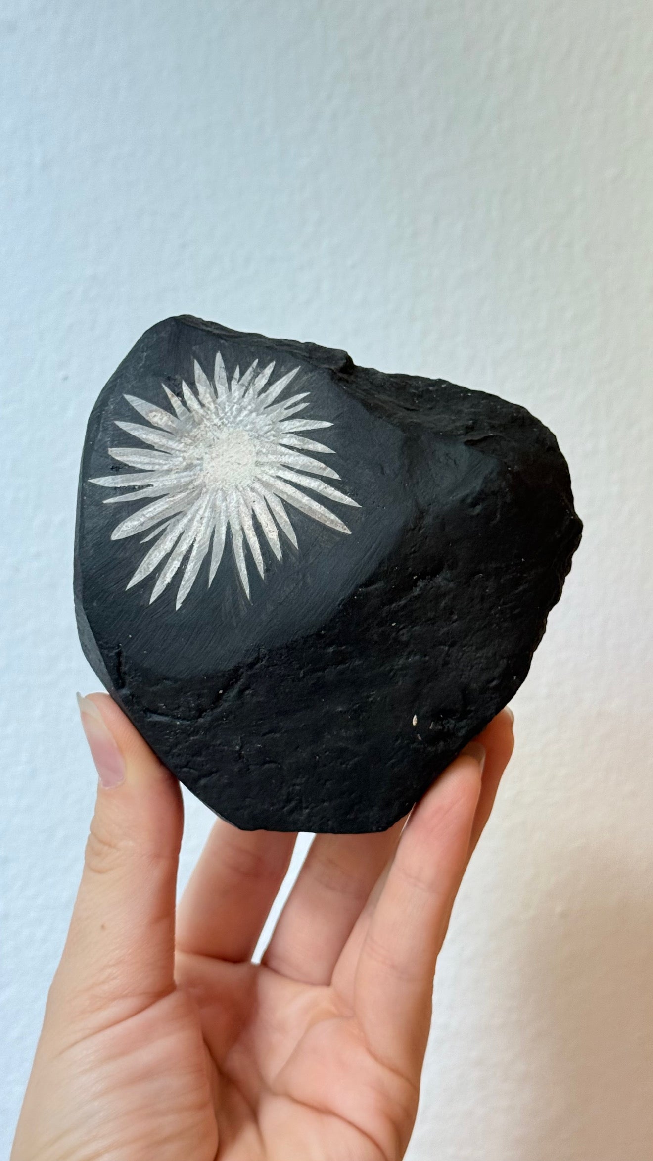 Chrysanthemum Stone (Rizantemum)