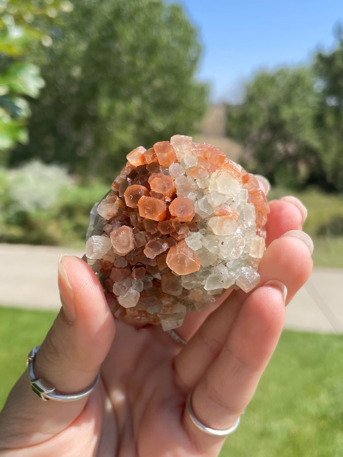 Green & Orange Aragonite ( h )