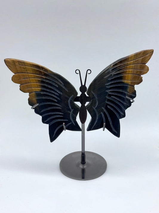 Tiger Eye Butterfly