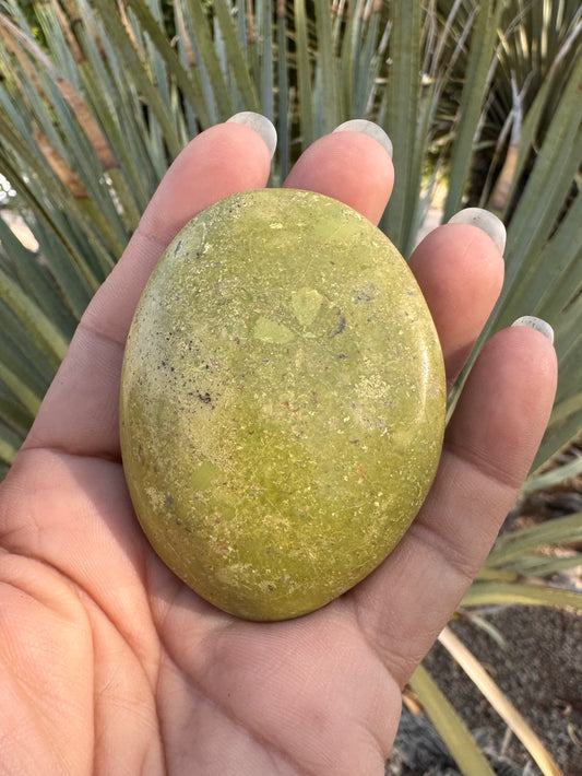 Palm Stone Serpentine ( Med )