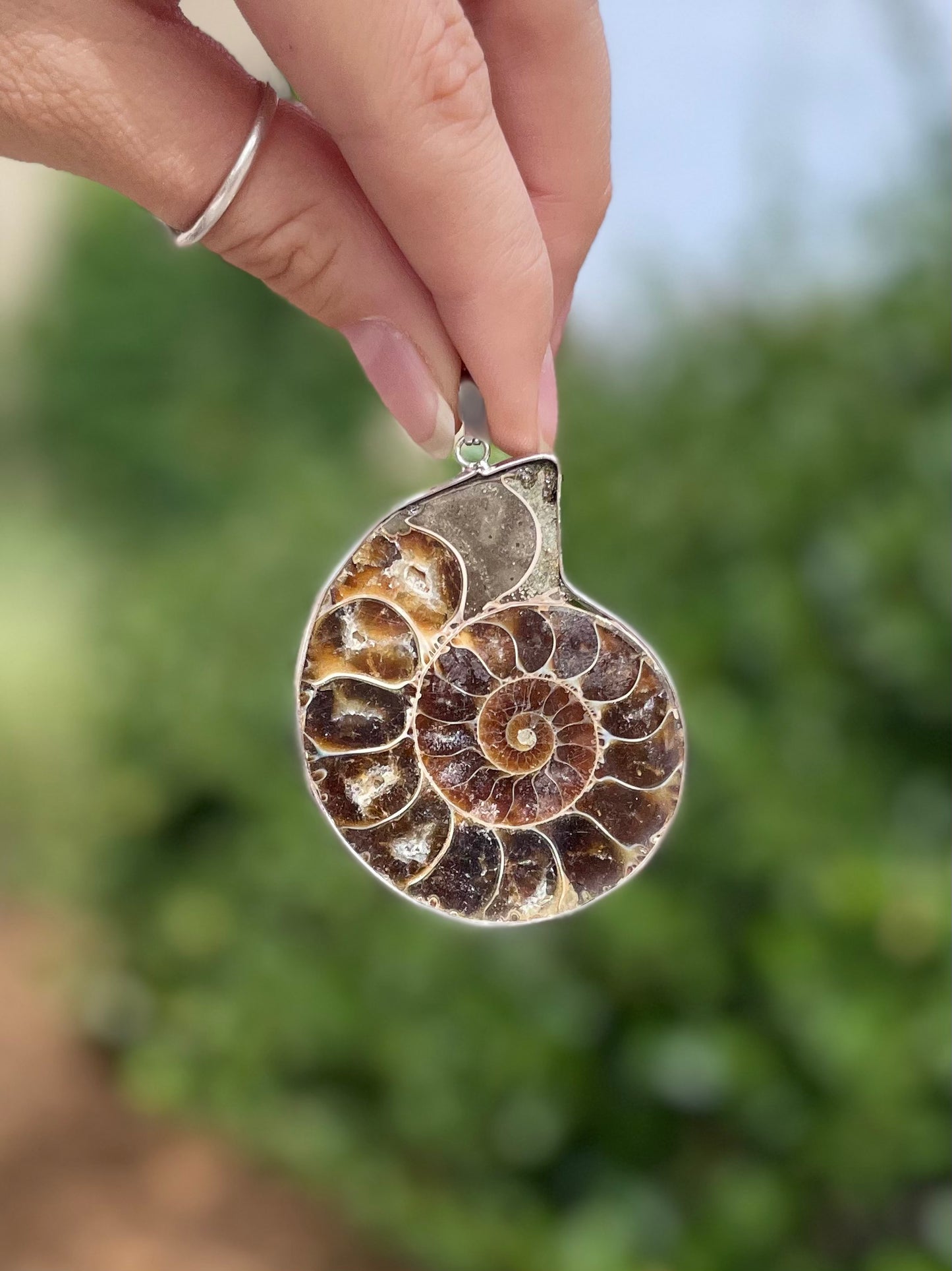 Ammonite Pendant ( A )