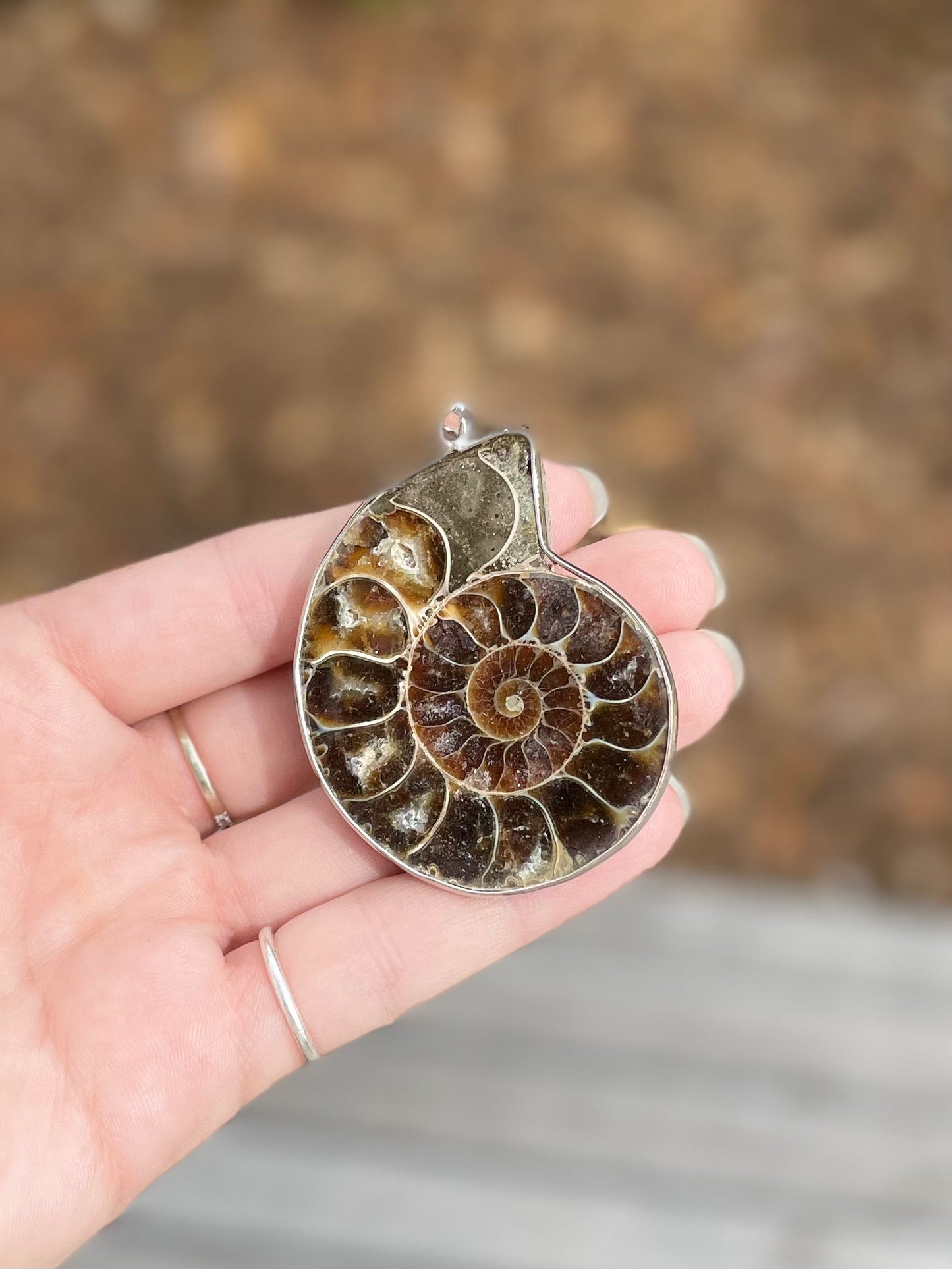 Ammonite Pendant ( A )