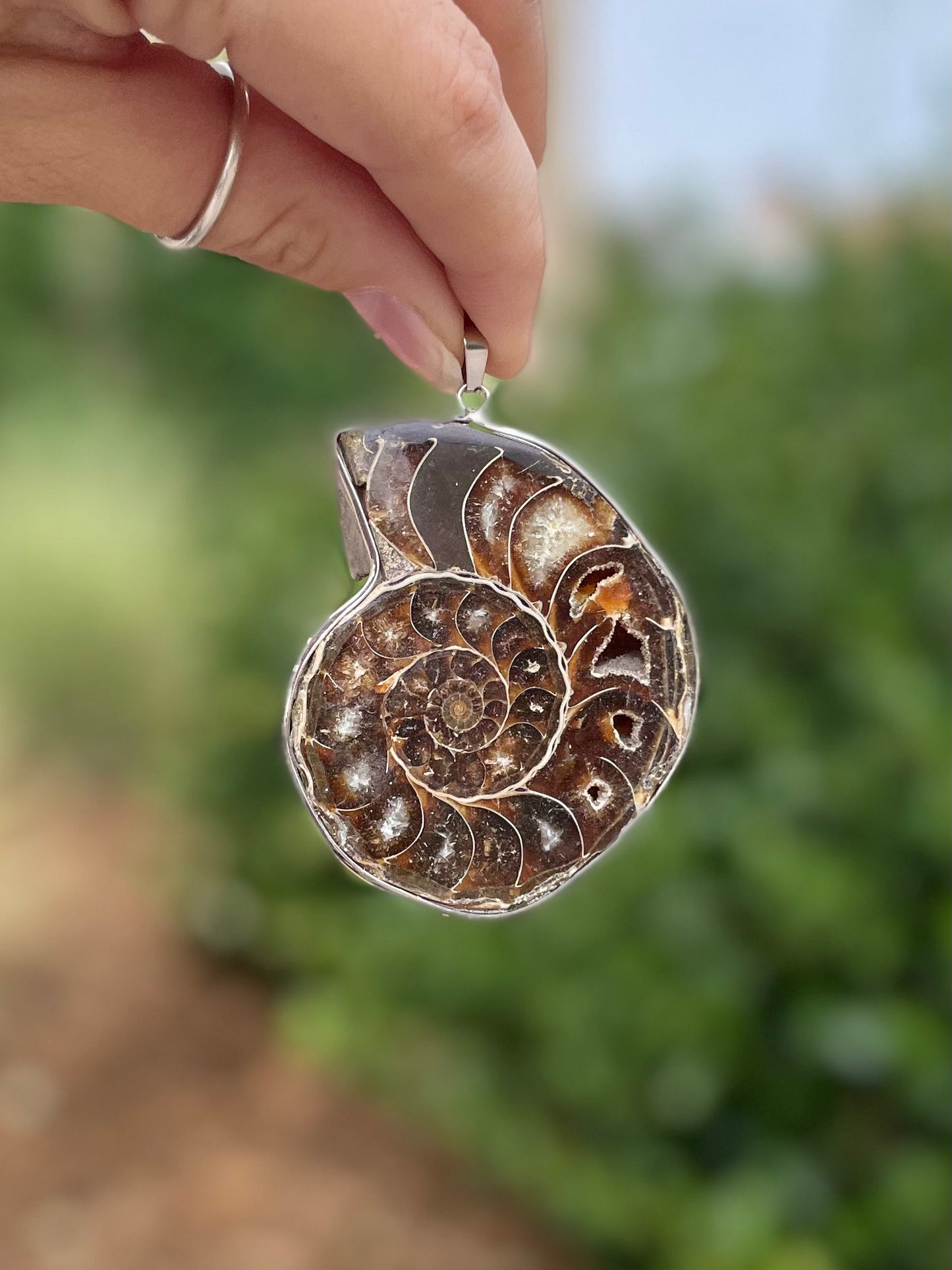 Ammonite Pendant ( D )