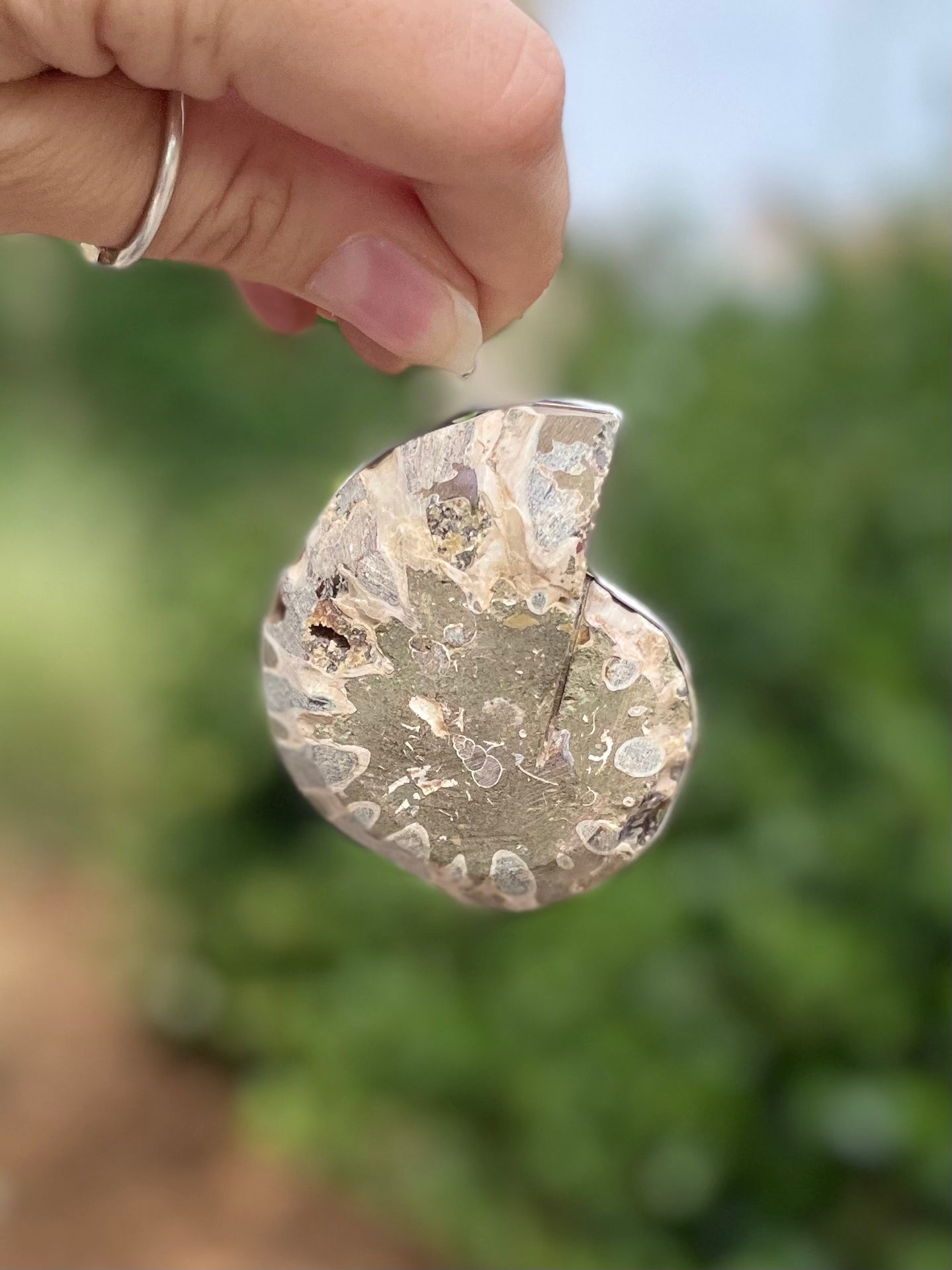 Ammonite Pendant ( D )