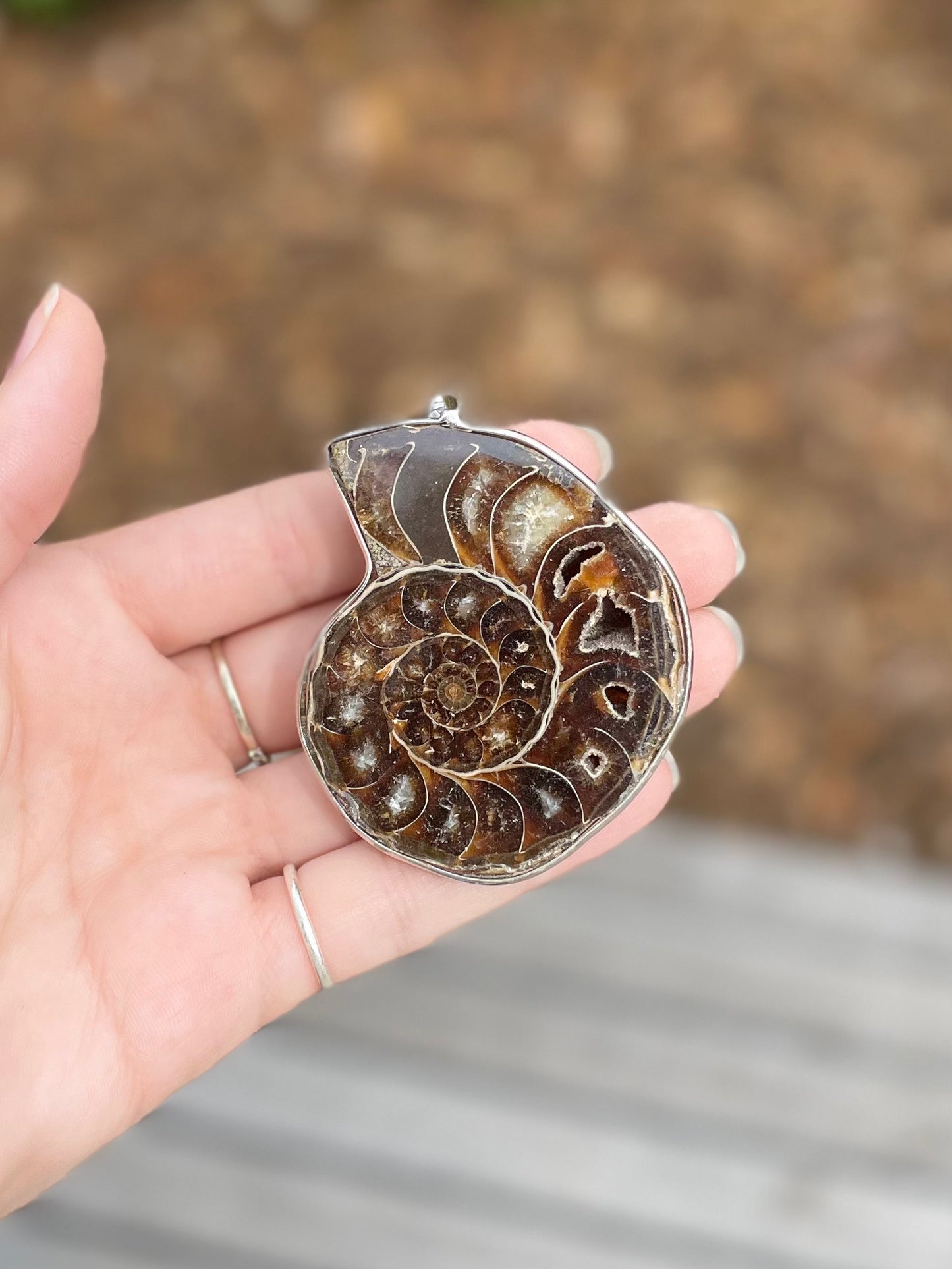 Ammonite Pendant ( D )