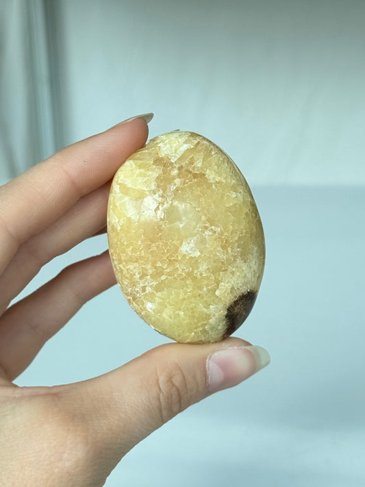 Septarin Palm Stone