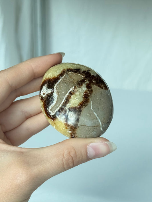 Septarin Palm Stone