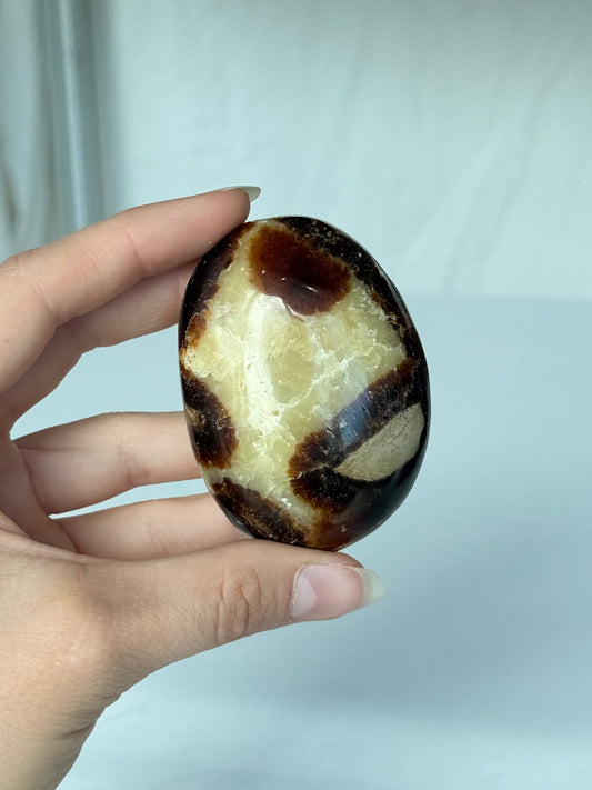 Septarin Palm Stone
