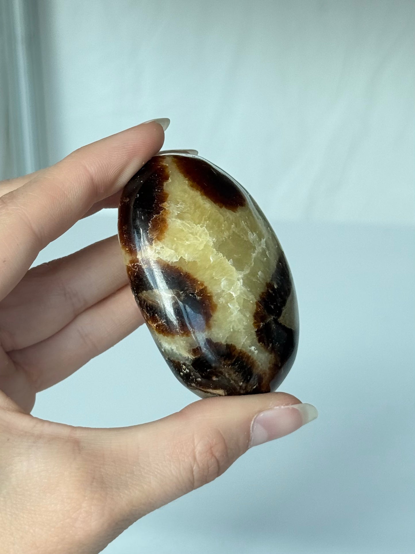 Septarin Palm Stone