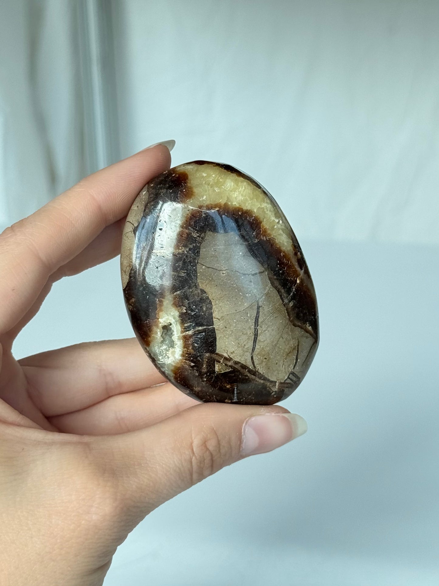 Septarin Palm Stone