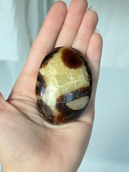 Septarin Palm Stone
