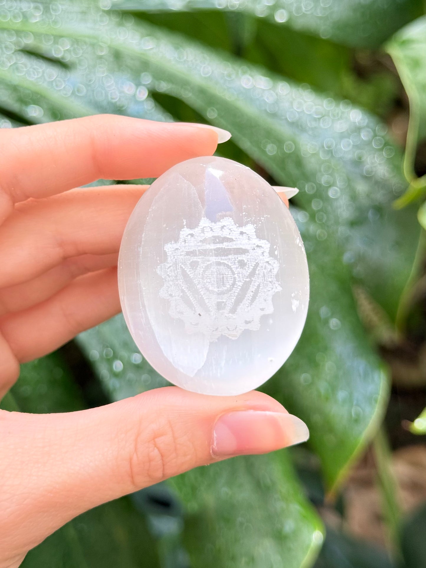 Selenite Palm Stone ( Vishuddha )