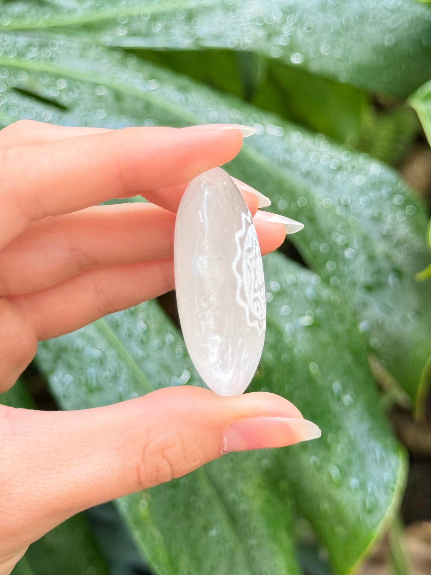 Selenite Palm Stone ( Anahata )