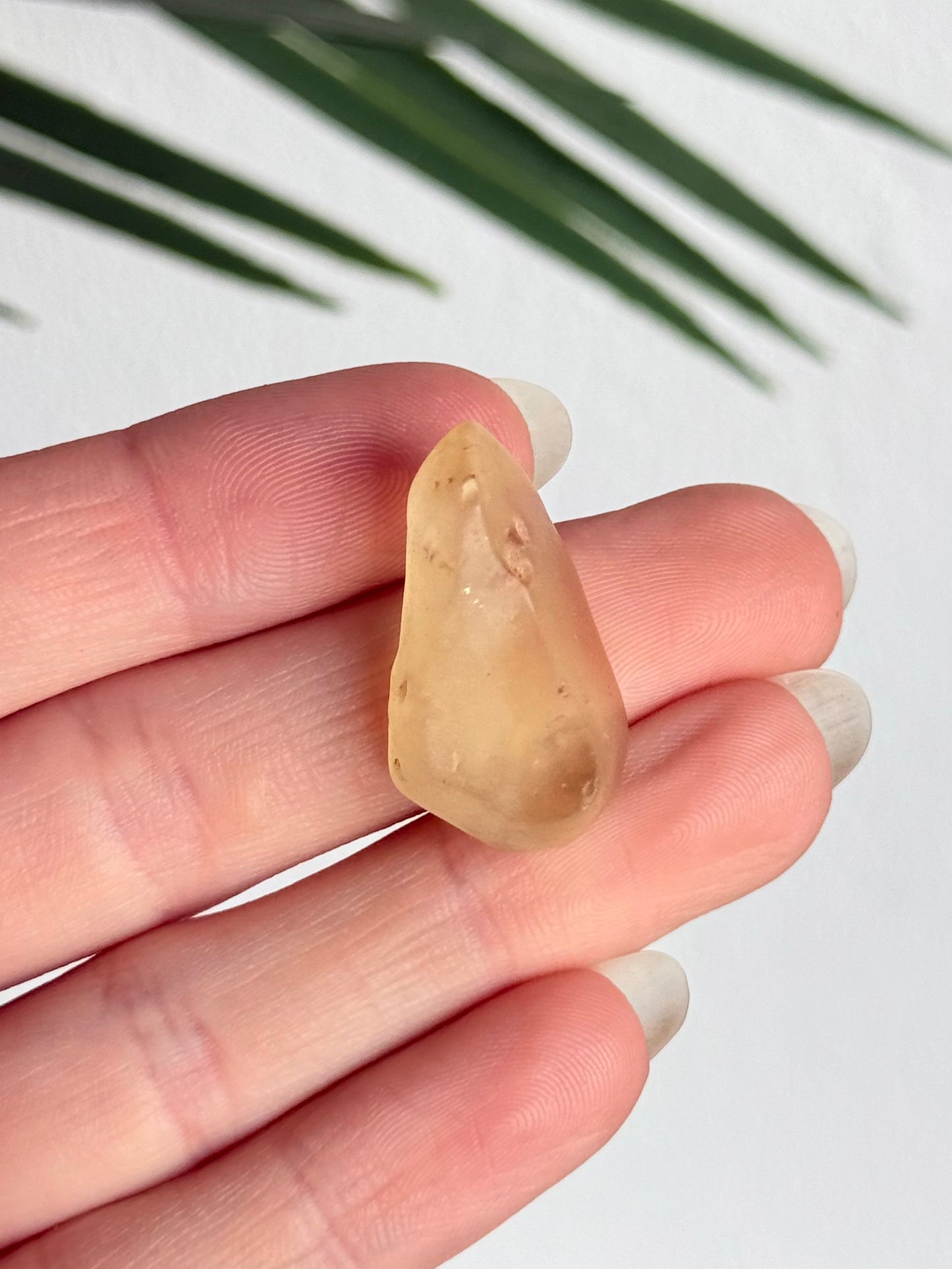 Lybian Desert Glass