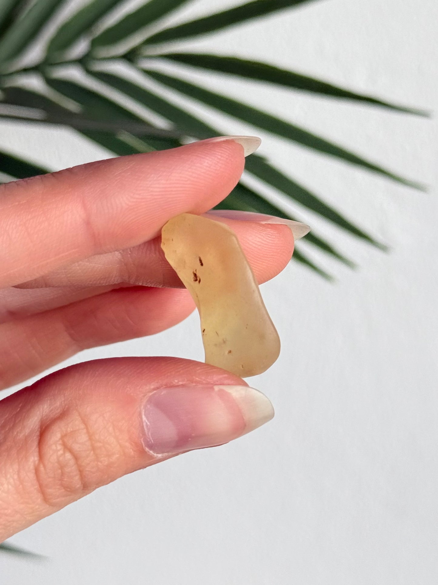 Lybian Desert Glass