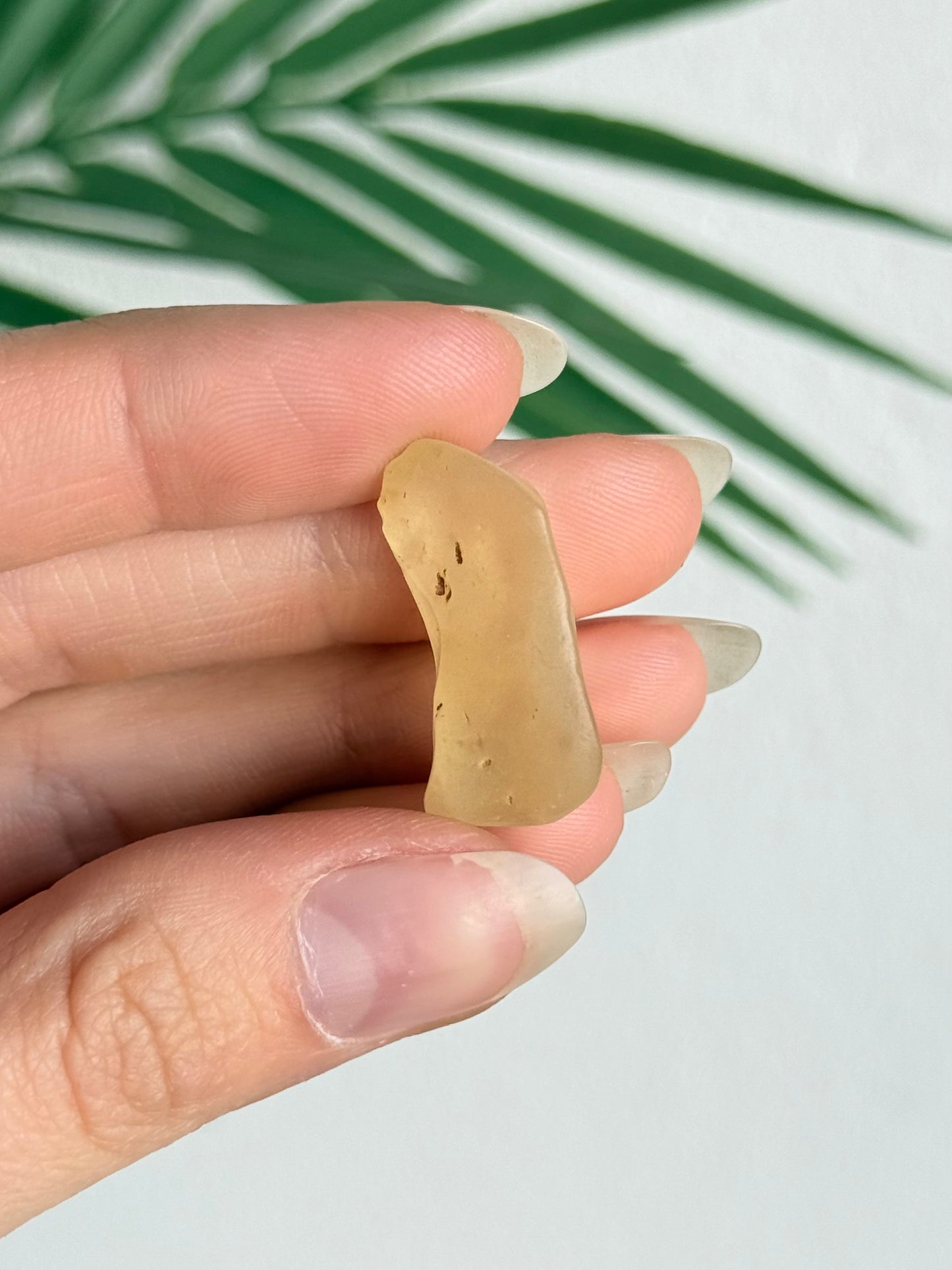 Lybian Desert Glass