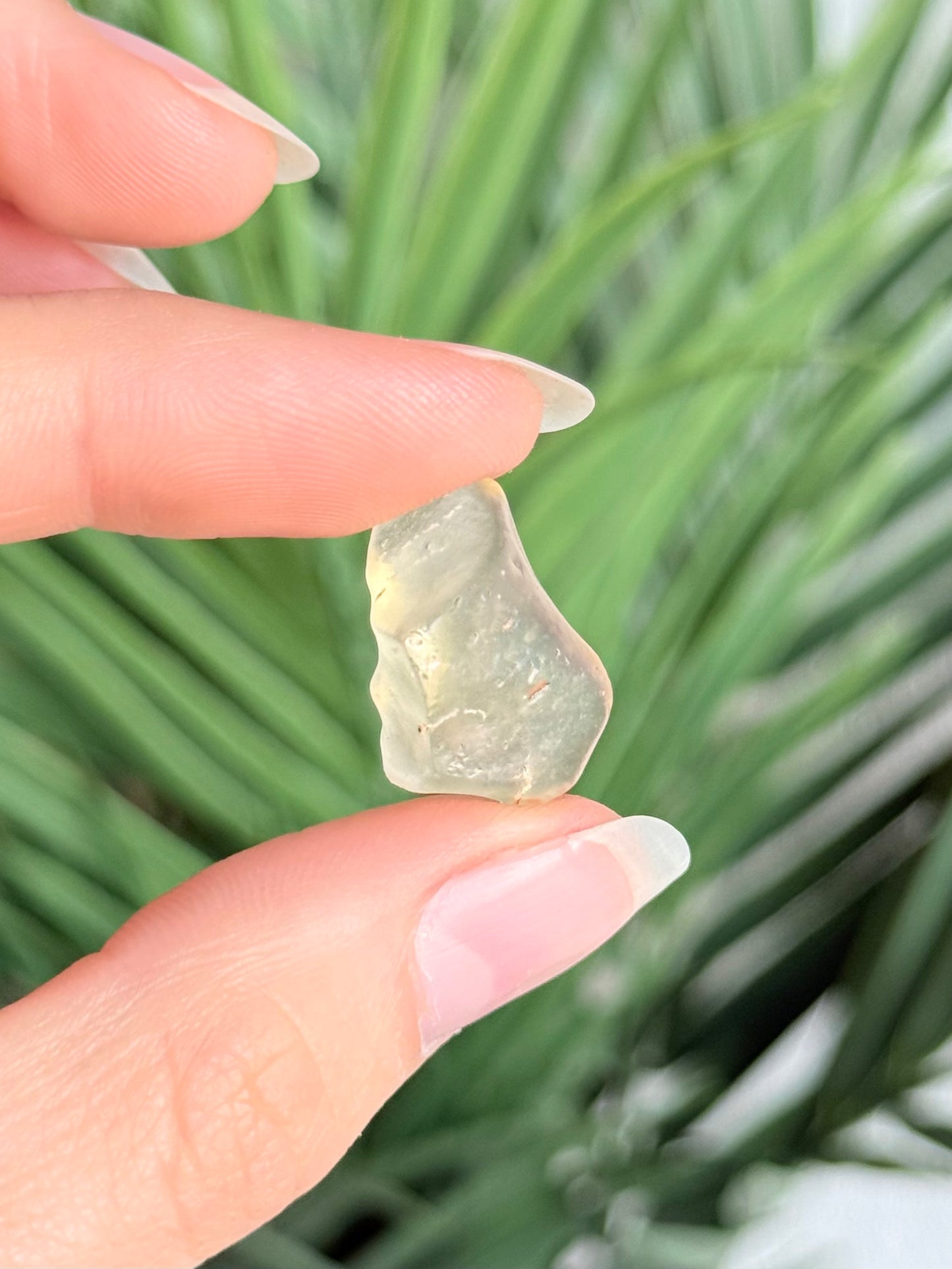Lybian Desert Glass