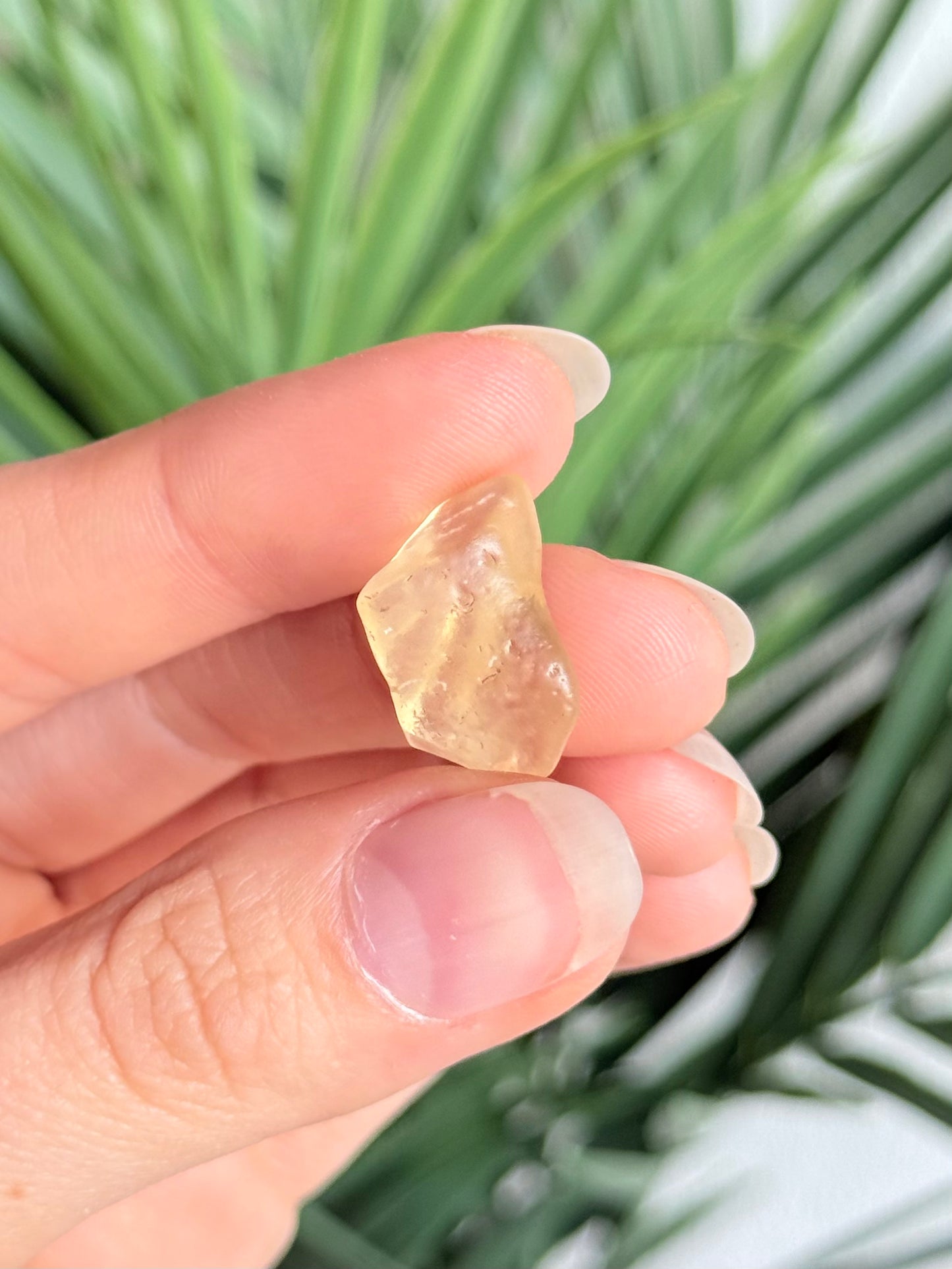Lybian Desert Glass