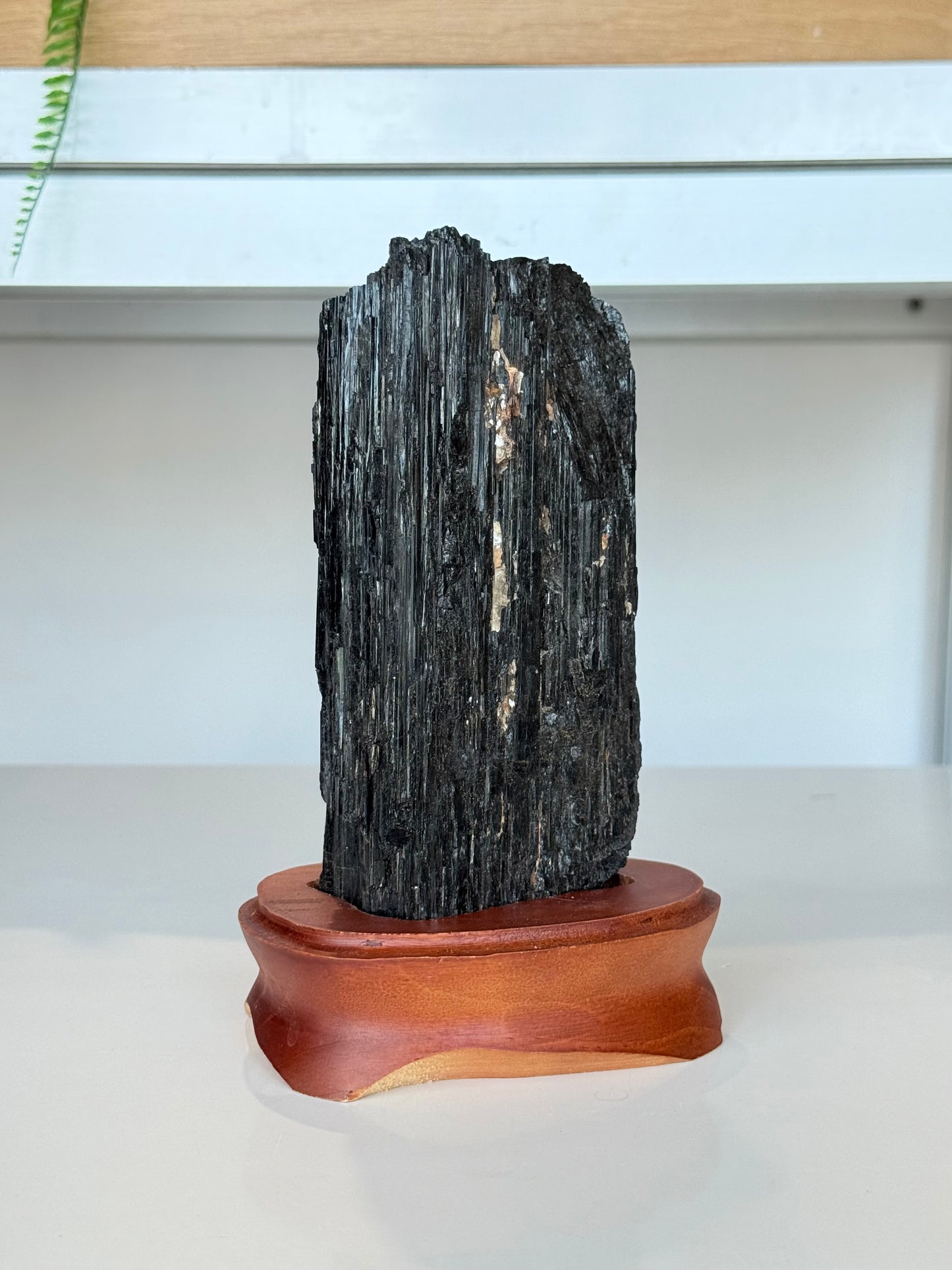 Black Tourmaline with wooden stand
