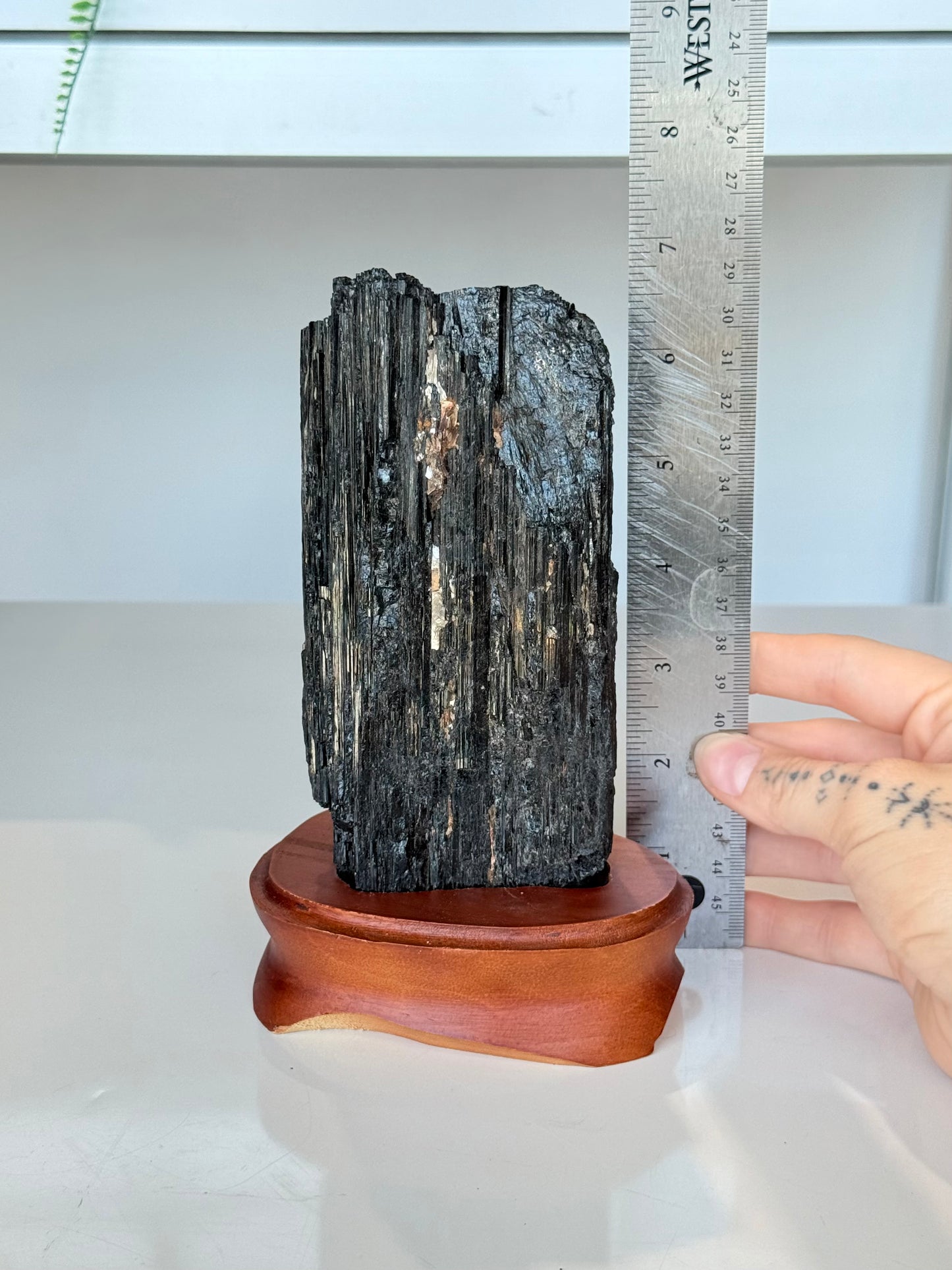 Black Tourmaline with wooden stand