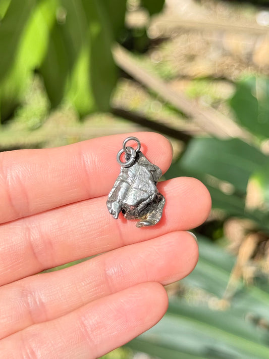 Campo del Cielo Pendant