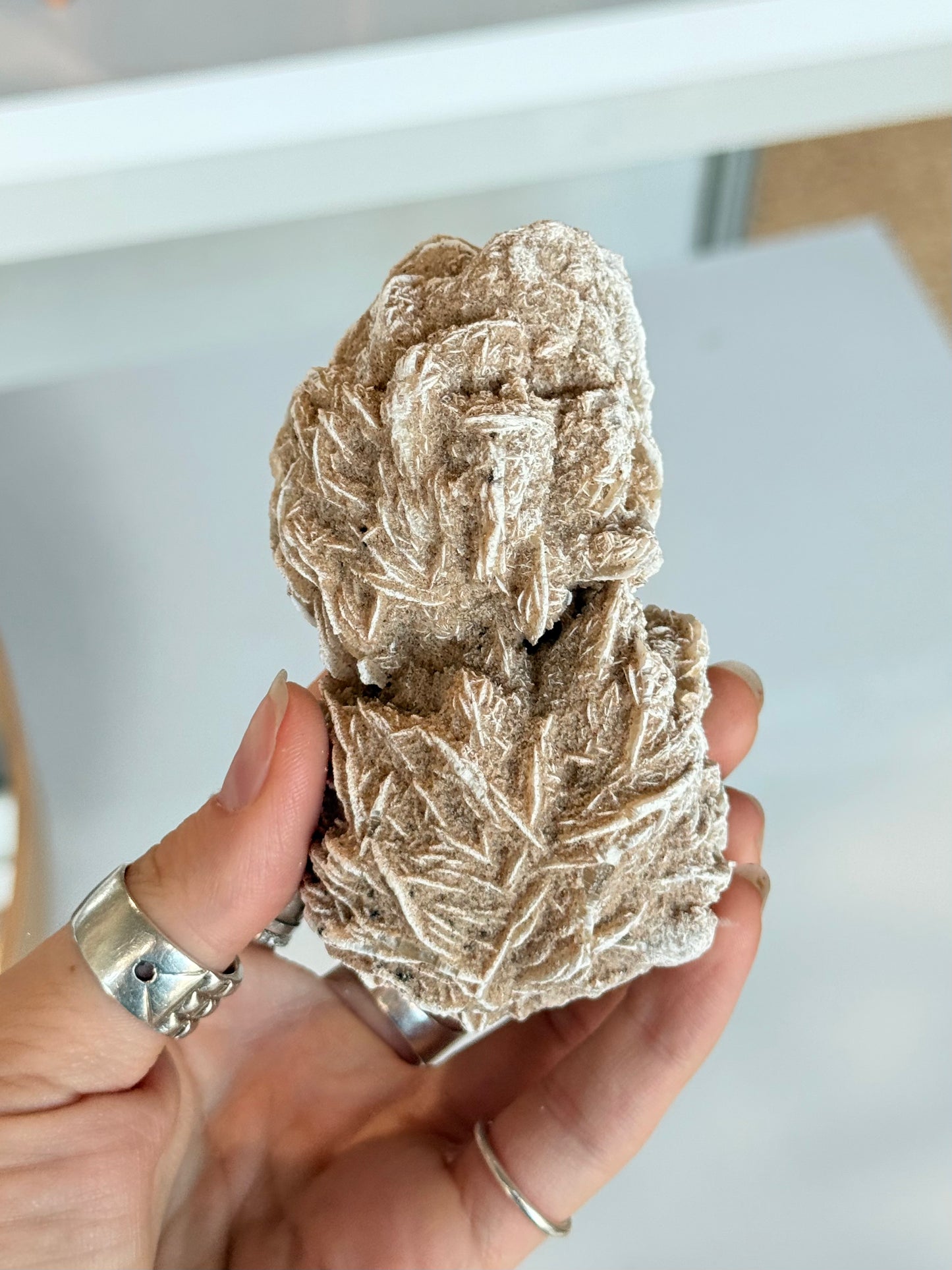 Desert Rose