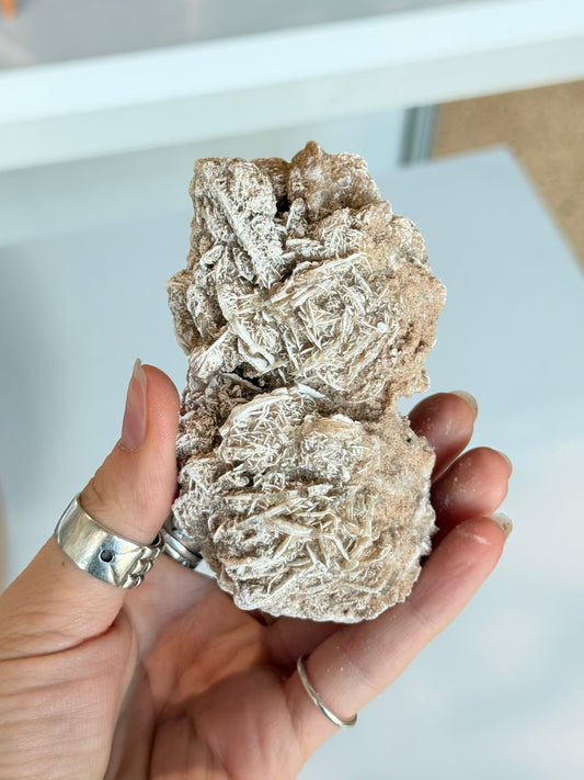 Desert Rose