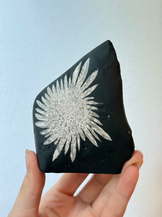 Chrysanthemum