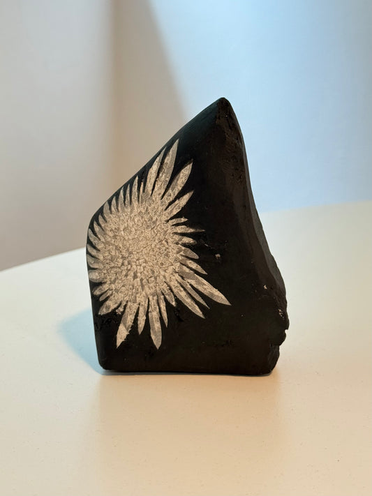 Chrysanthemum