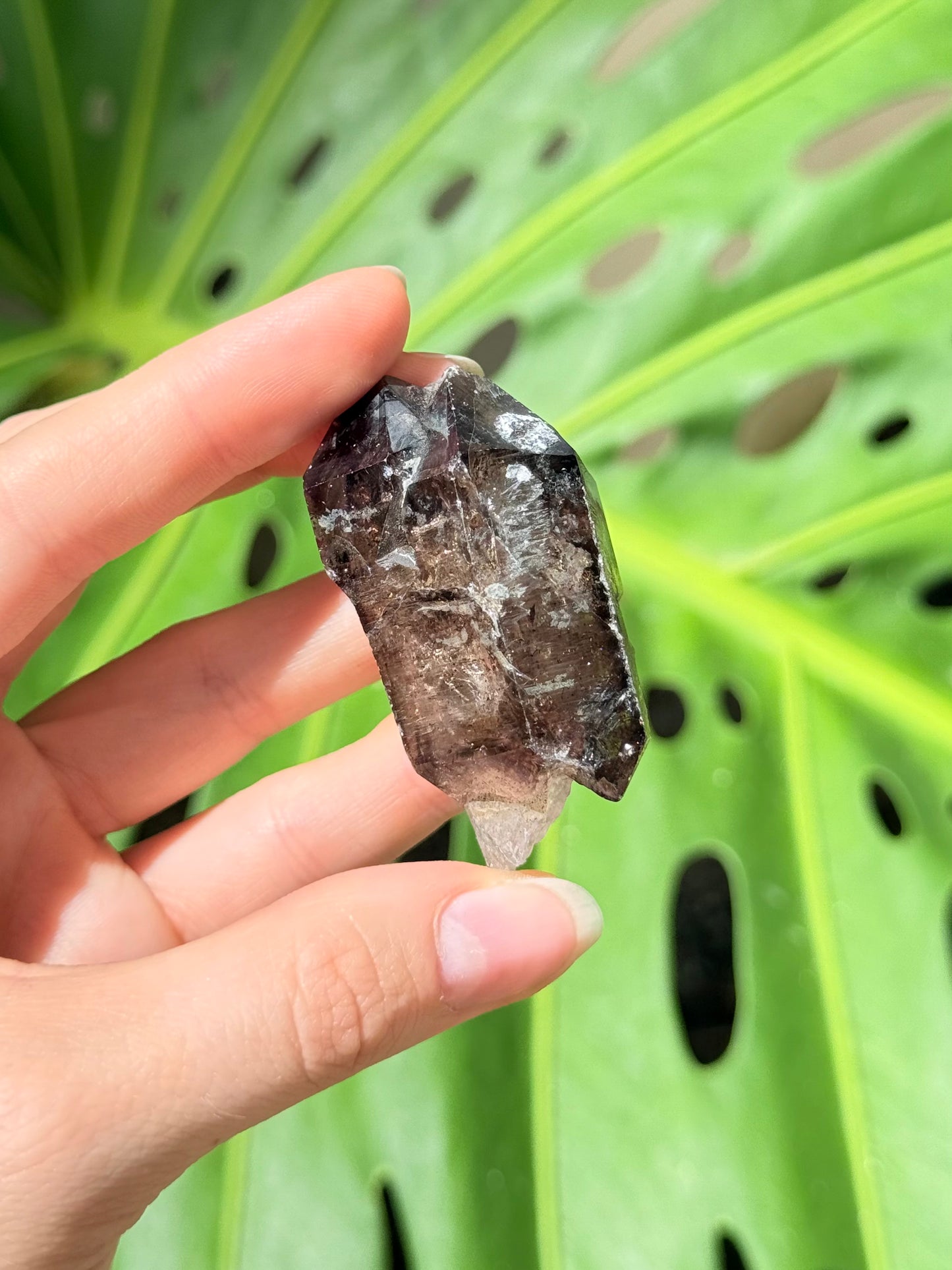 Elestial Amethyst