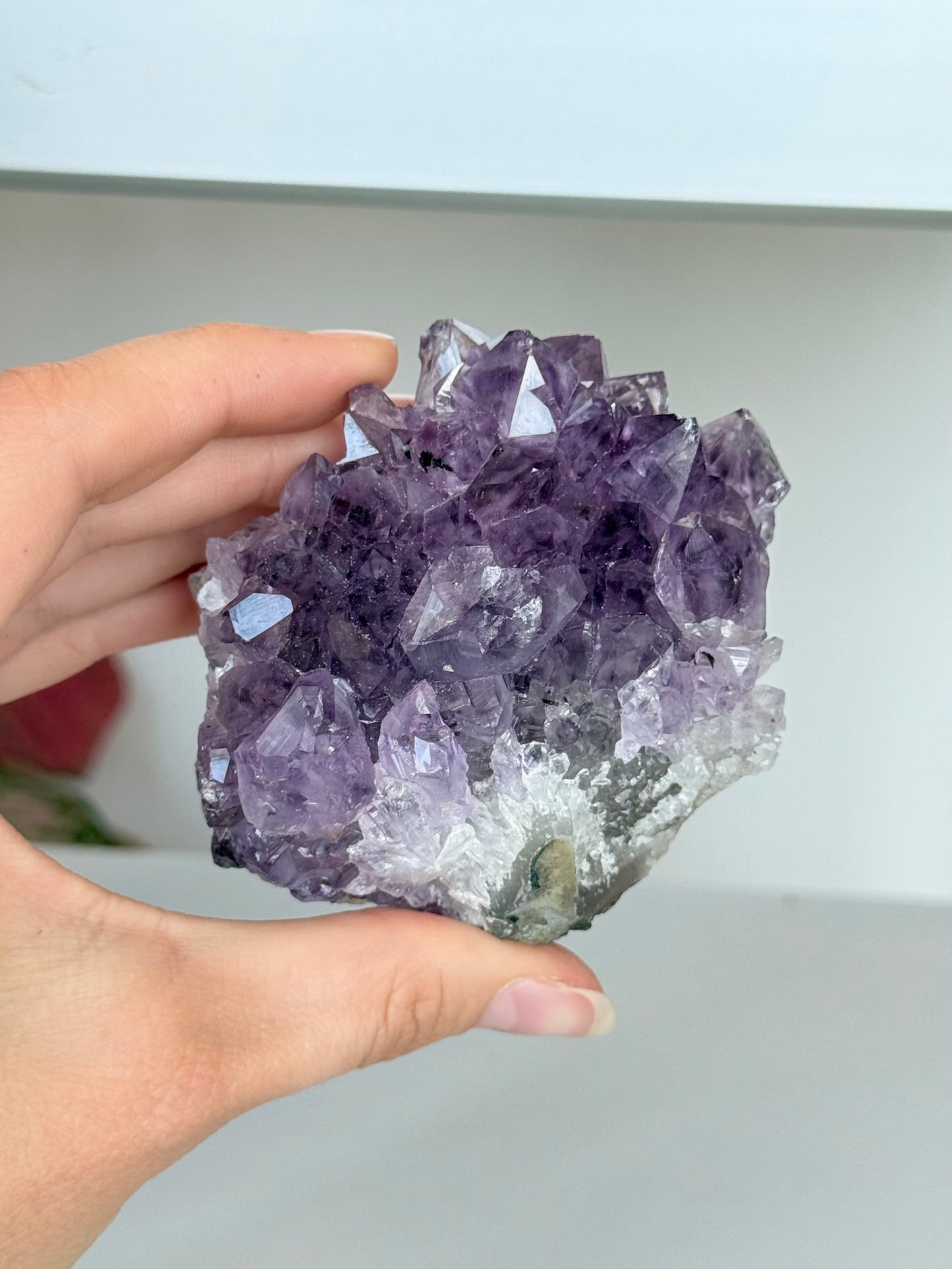 Small Amethyst Cluster / Clúster Pequeño de Amatista