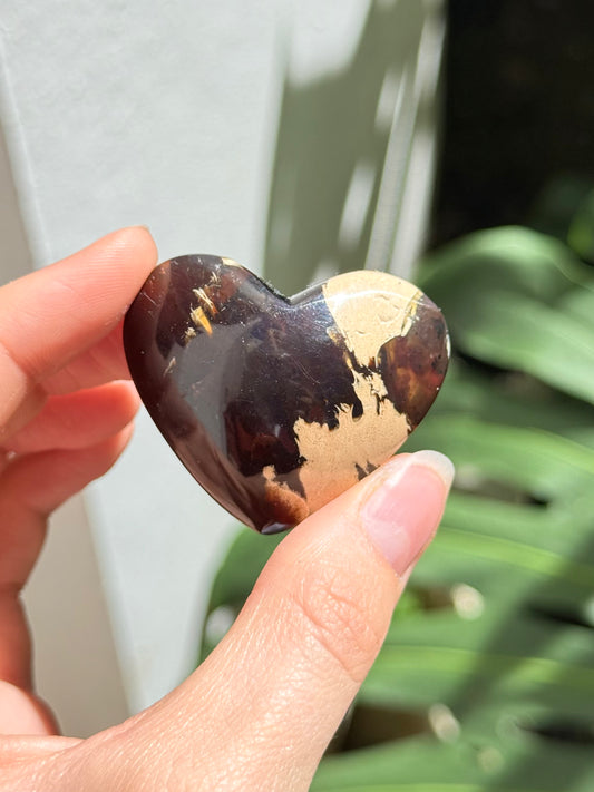 Amber Heart - Indonesian