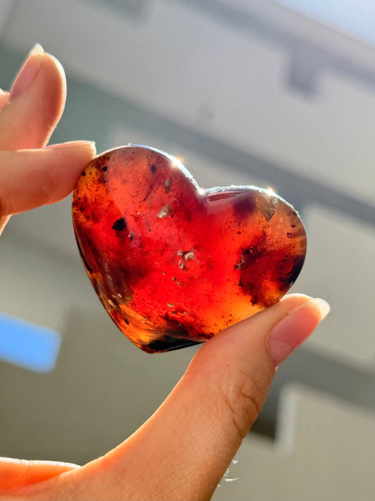 Amber Heart - Indonesian