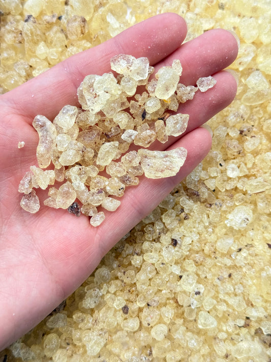 Egyptian Frankincense Resin / Resina de Frankincense de Egipto