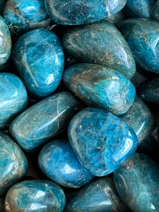 Blue Apatite Tumble / Apatita Azul Rodada