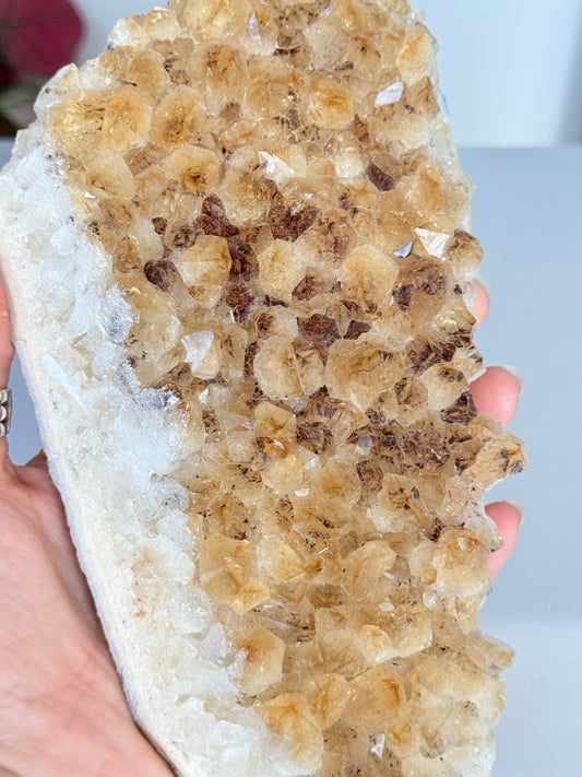 Citrine Cluster (Heat-Treated) / Clúster de Citrino (Tratado con Calor)