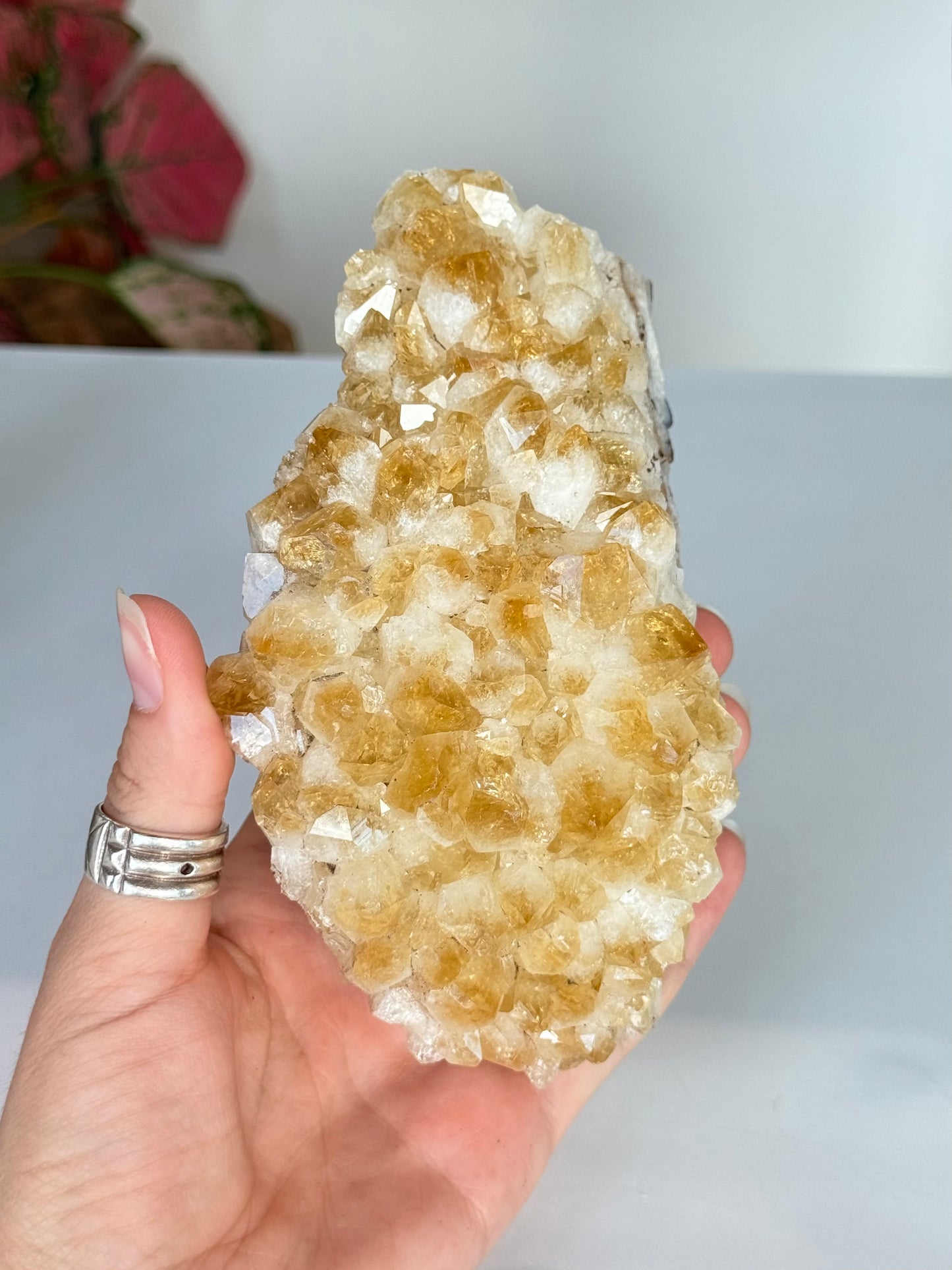 Citrine Cluster (Heat-Treated) / Clúster de Citrino (Tratado con Calor)