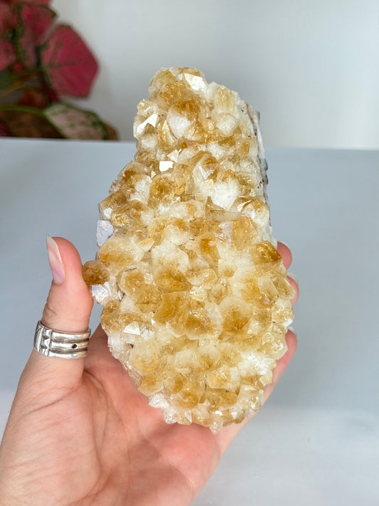 Citrine Cluster (Heat-Treated) / Clúster de Citrino (Tratado con Calor)