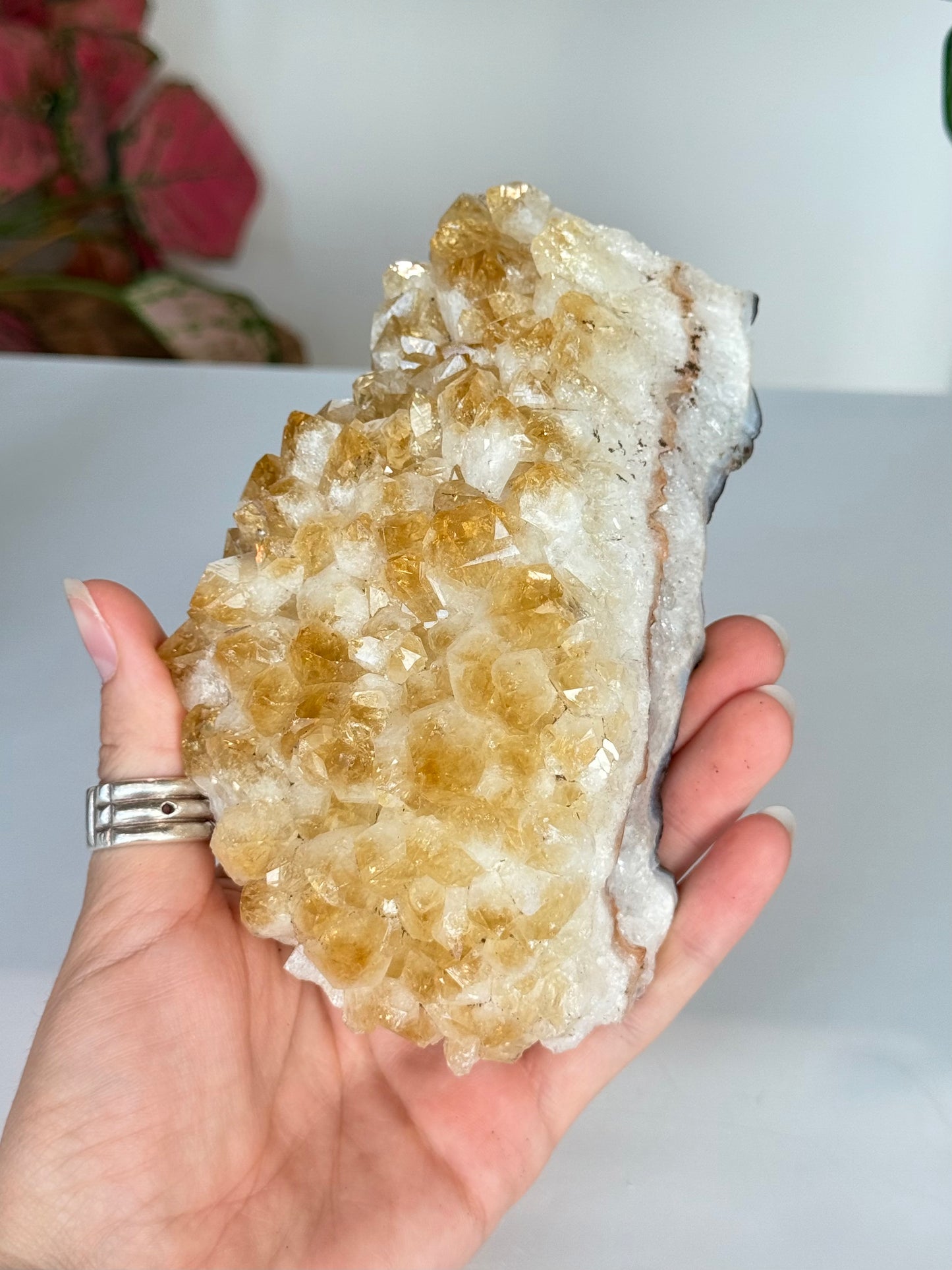 Citrine Cluster (Heat-Treated) / Clúster de Citrino (Tratado con Calor)